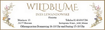 002_Anzeige_Wildblume_Ines_Lewand.jpg